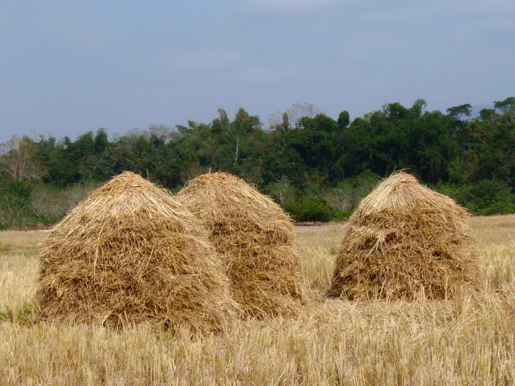 finding-the-needle-in-the-learning-content-haystack-donald-h-taylor